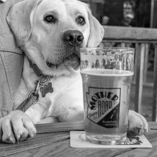 Pint-and-Pup